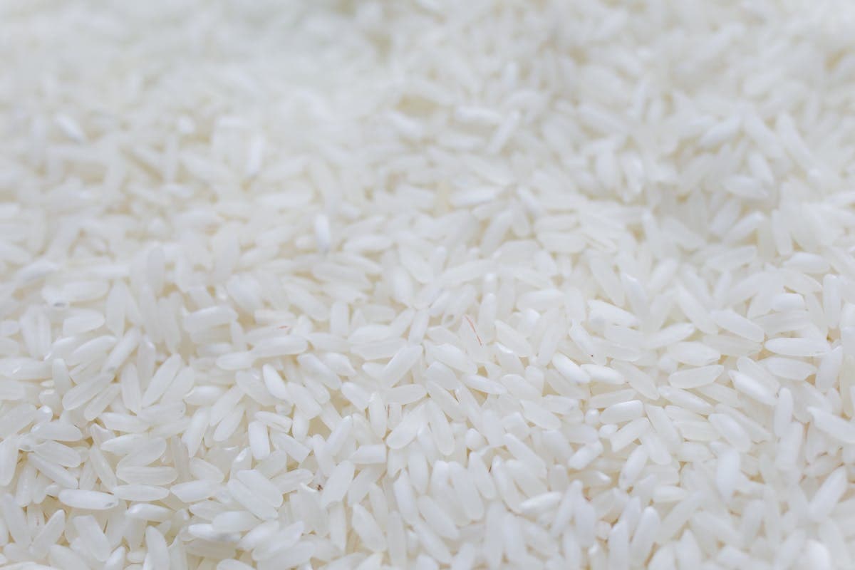Arborio Rice — Premium Thai rice grains